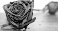Don't Get Caught Dead Without Islam - Part 2 - Hiba - Family Resource Centre