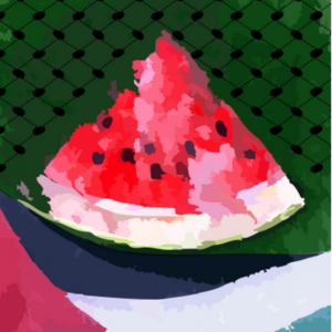 How The Youth is Shaping the #FreePalestine Movement – Hiba | Islamic